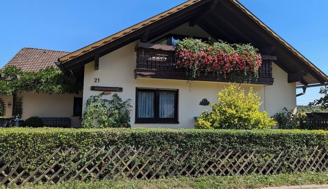 Comfortable apartment (55m2) with terrace and garden