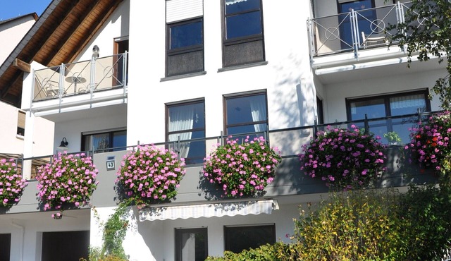 Comfortable apartment in the vineyards with a wonderful view of the Rhine and castles
