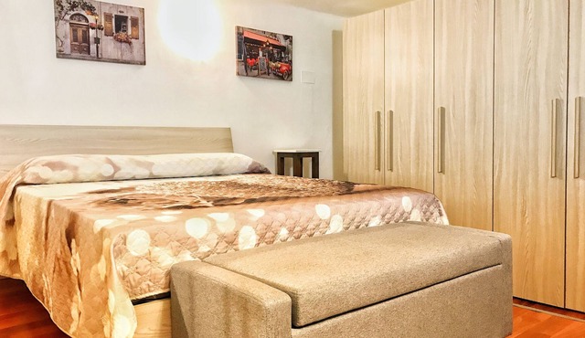 Comfortable apartment in the historic center