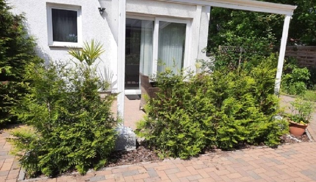Comfortable apartment "SWS-Ost" on Krossinsee surfers Idyllic