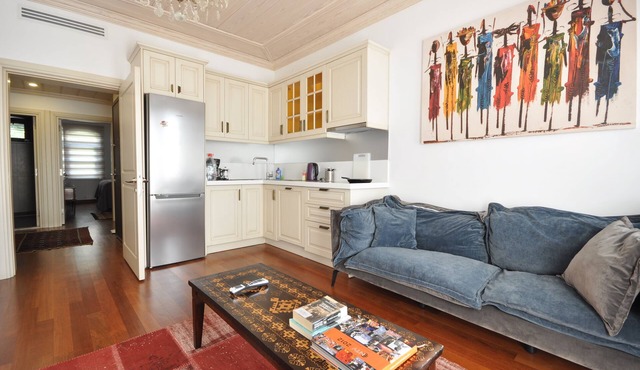 Comfortable apartment old city