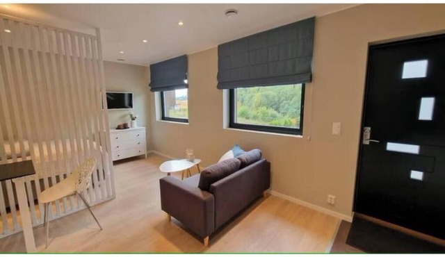 Comfortable apartment with free parking