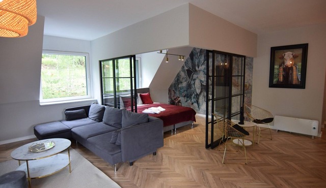 Comfortable apartment with a private sauna