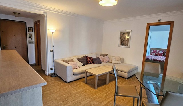 Comfortable apartment with large terrace