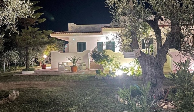 Comfortable apartments within walking distance from the sea!