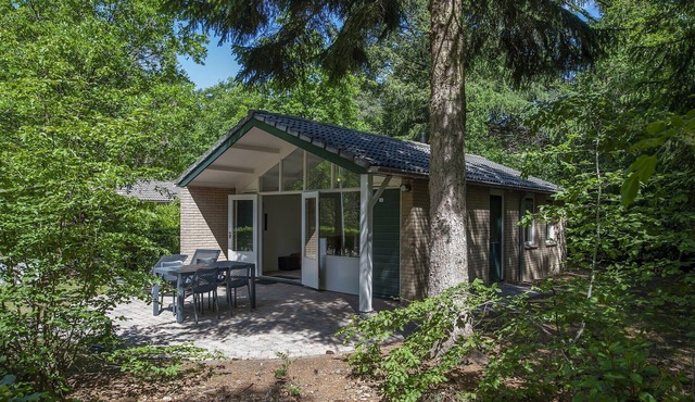 Comfortable bungalow on the Veluwe