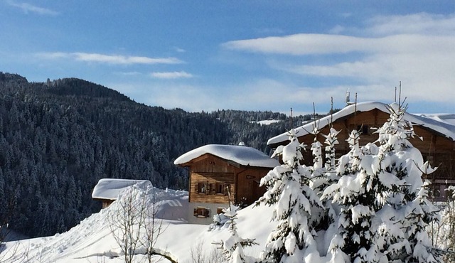 Comfortable chalet with sauna, WiFi, and private parking