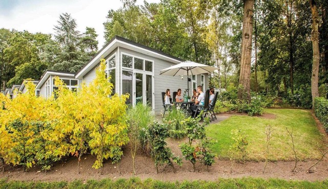 Comfortable chalet with dishwasher within De Veluwe