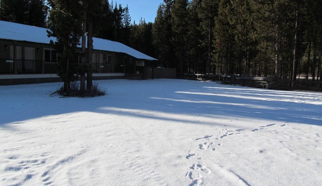 - Comfortable, cozy 1 bedroom suites. 1 to 4 suites available