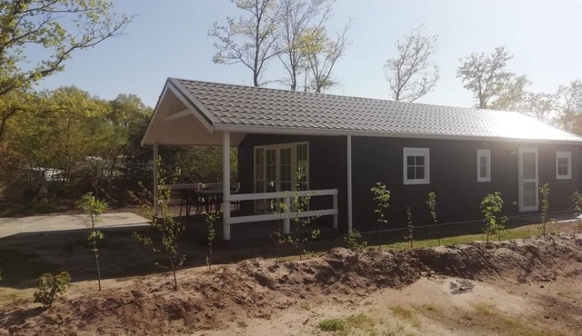 Comfortable forest lodge with open space.