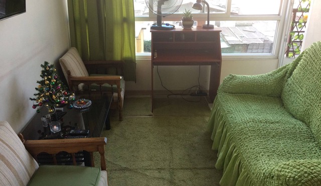 Comfortable full appartment downtown Santiago.