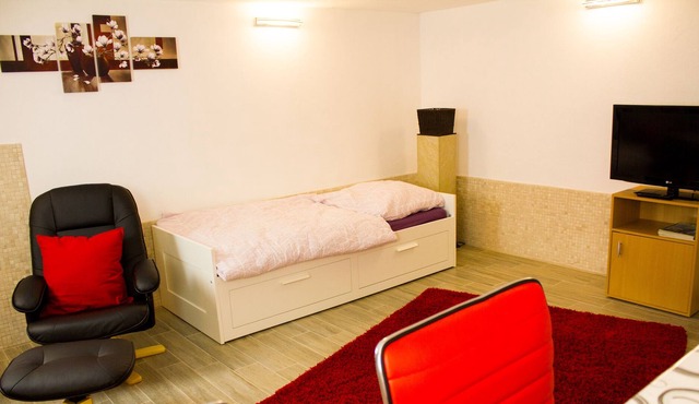 Comfortable holiday home with sauna in Cologne