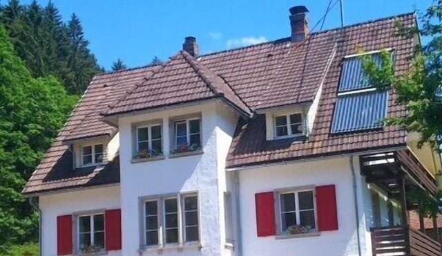 Comfortable home between the stream and the edge of the forest