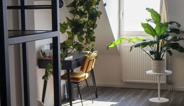 Comfortable hotel room with stunning views, modern facilities, and a calming atmosphere in the Land van Maas en Waal.