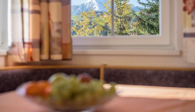 Comfortable Apartment “Treyer 3 Typ B” with Mountain View, Balcony & Garden