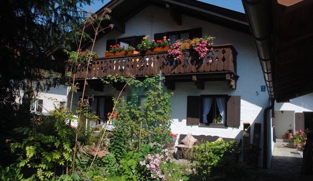 Comfortable large apartments, centrally located, surrounded by nature, friendly