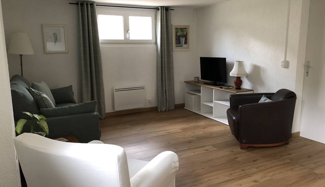 Comfortable lower ground floor flat in picturesque village above Nyon