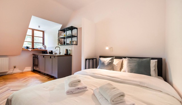 Comfortable Old Town Apartment