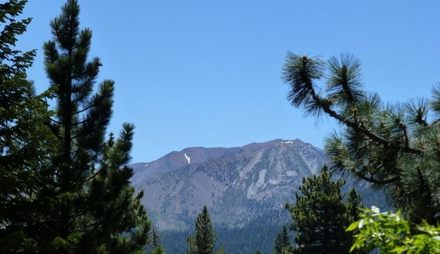 Comfortable One Bedroom Condo with Awesome View at Mammoth