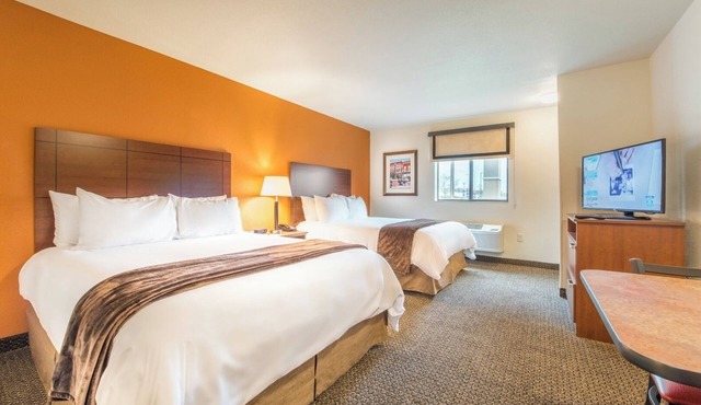 Comfortable Pet-Friendly Rooms with In-Room Kitchens and Free Parking Included
