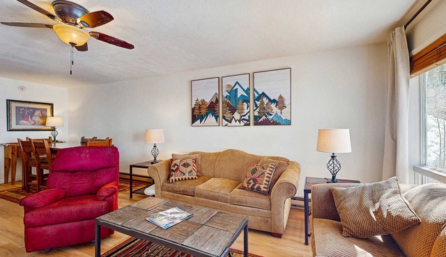 Comfortable ski-in/ski-out, creekside condo, with gas stove, soaking tub, WIFI