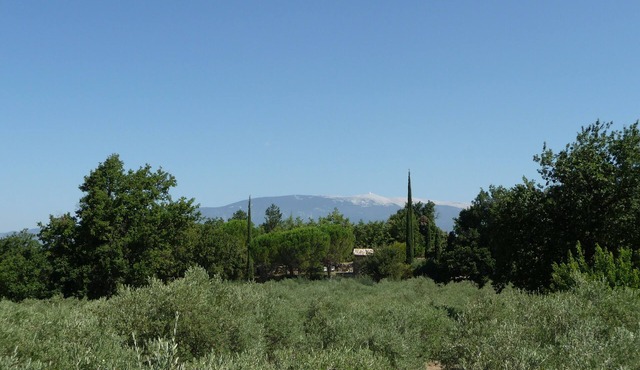 Comfortable small stone 18th Century cabin, private pool, exceptional site