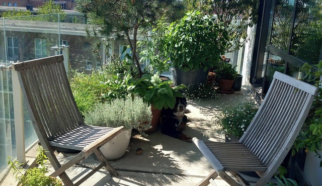 Comfortable & stylish family apartment in Amsterdam West. Pet friendly!