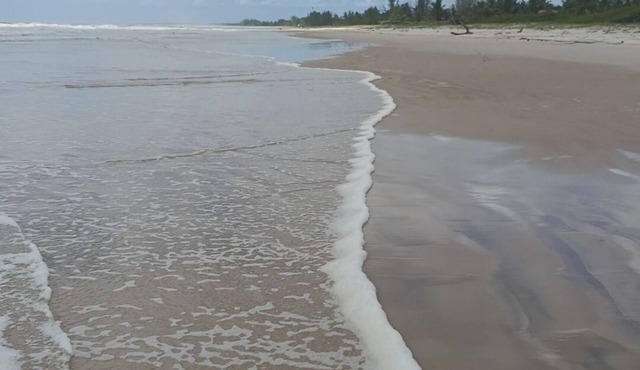 Comfortable suite 30 meters from the beach. Clean river, mangroves, clean air, clean waters.