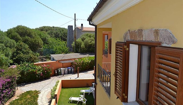 Comfortable three-room apartment near Porto Pollo