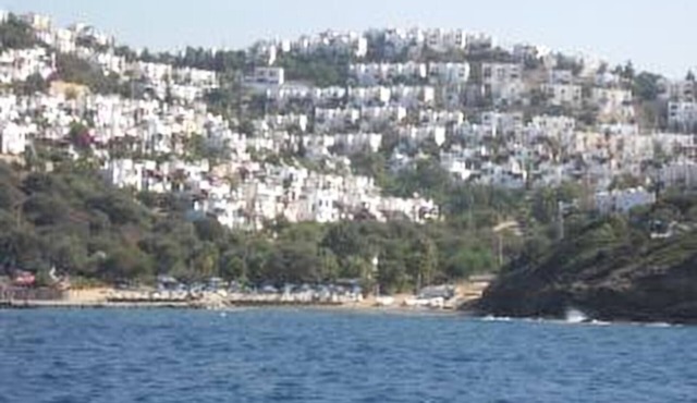 Comfortable holiday home with sea views, private beach, beautiful palm garden