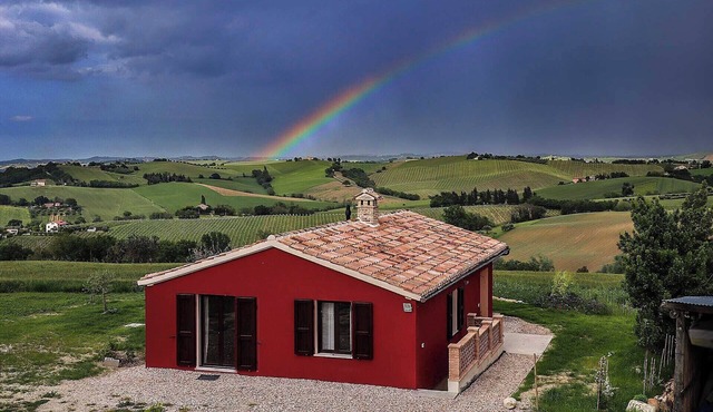 Comfortable vacation home in the vineyards. Wheelchair accessible, pet friendly!