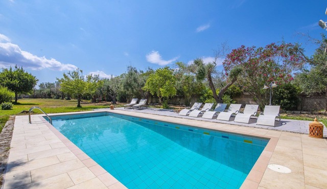 Comfortable villa with garden and swimming pool.