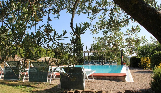 Comfortable villa part of an organic winery, Castellina in Chianti.