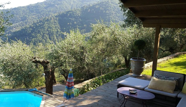 Comfortable wooden tiny house with private pool in an olive grove.