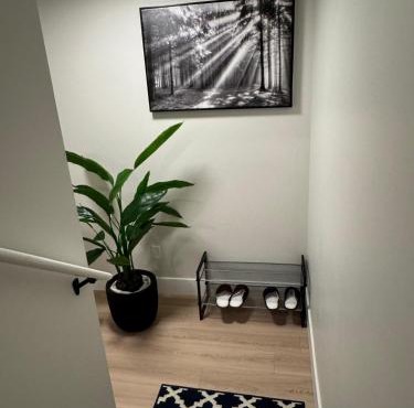 Comfy Apartment