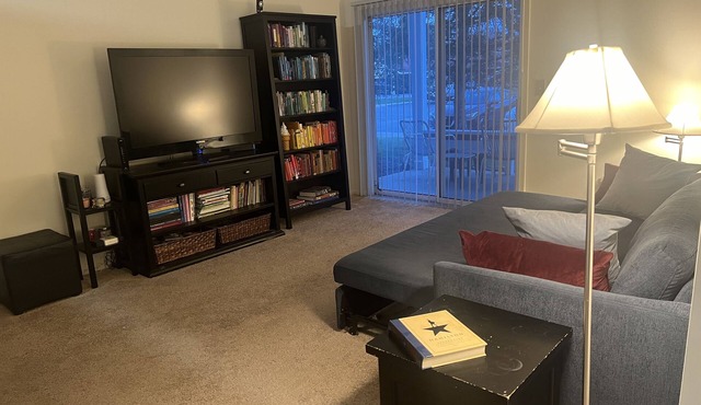 Comfy Apartment for Eclipse Totality! Walk to Town Center, near Conner Prairie