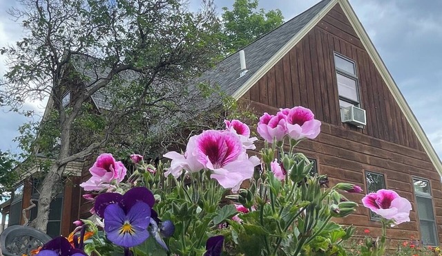 Comfy, Charming 4-Bedroom Victorian Home in Central Helena - Vacation or Work