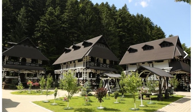 Complex Lions Bucovina