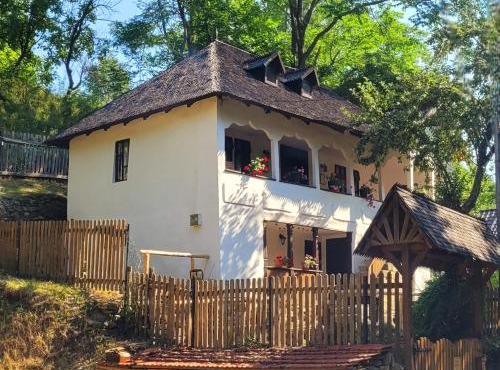 Conacul Copilăriei