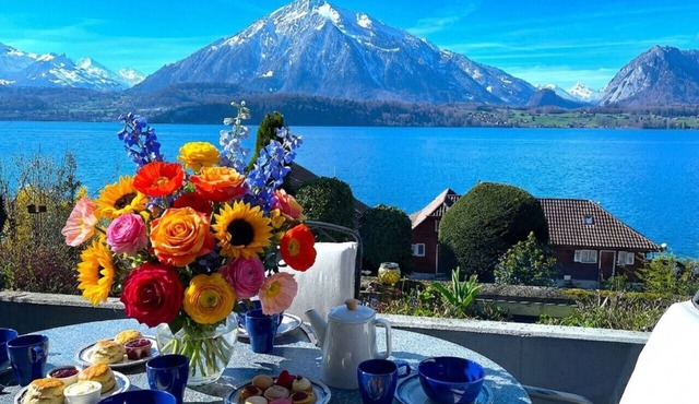 Concierge, Lake Thun/Alps Scenic Views by SwissHut