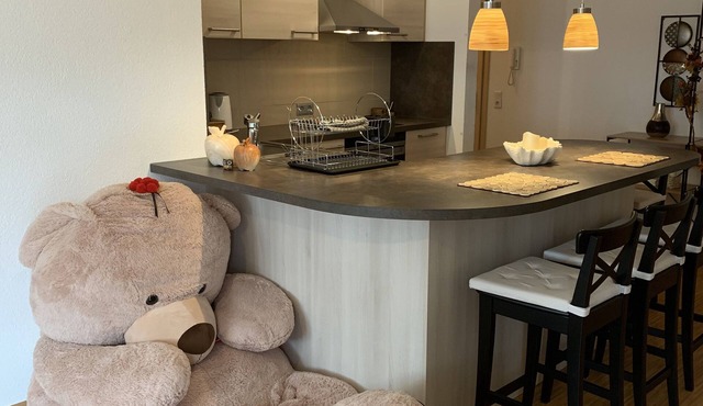Condo "Black Forest", 1 bedroom, 1 bathroom with a view of the Black Forest