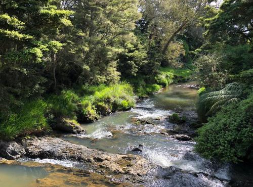 Cone Hill Farmstay - with bush and river walks - 80 sqm self contained