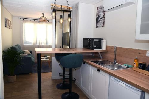 Confortable studio avec jardin