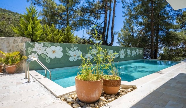 Confortable Villa With Private Pool in Nature
