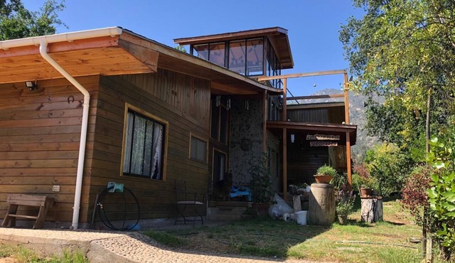 Connect with the Chilean native forest
