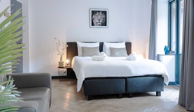 Contemporary studio featuring a private kitchen, bathroom, and two balconies
