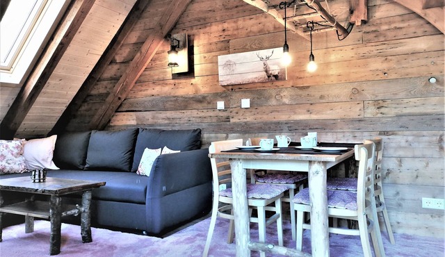 Converted original barn in the middle of the Black Forest National Park