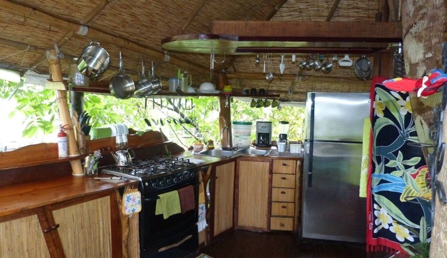 COOLEST TreeHouseInCostaRica,Sleeps 8,Corcovado & Ocean Views. Full home in tree