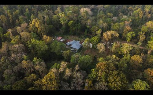 Coorg Wild Walk, Nagarhole - A CGH Earth SAHA Experience