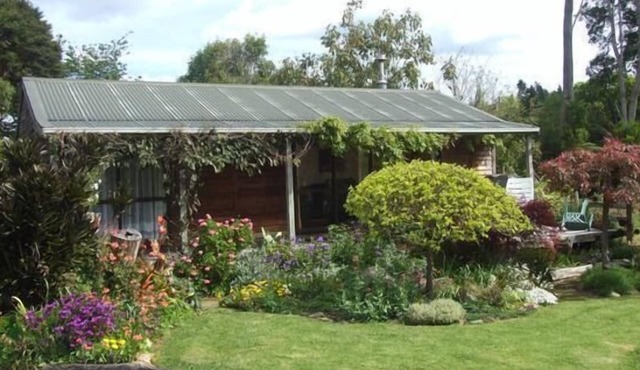 Coromandel Orchard Cottage